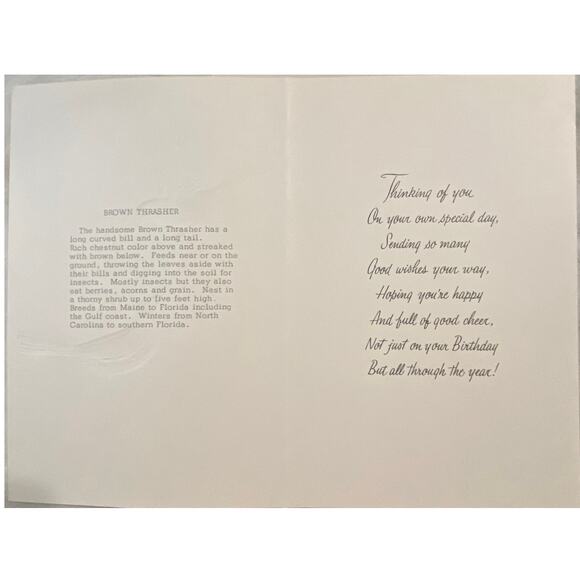 Lot 4 Vtg MCM Birthday Card USA 1970s Embossed Ornithologist Bird Winged Classic - Picture 13 of 16